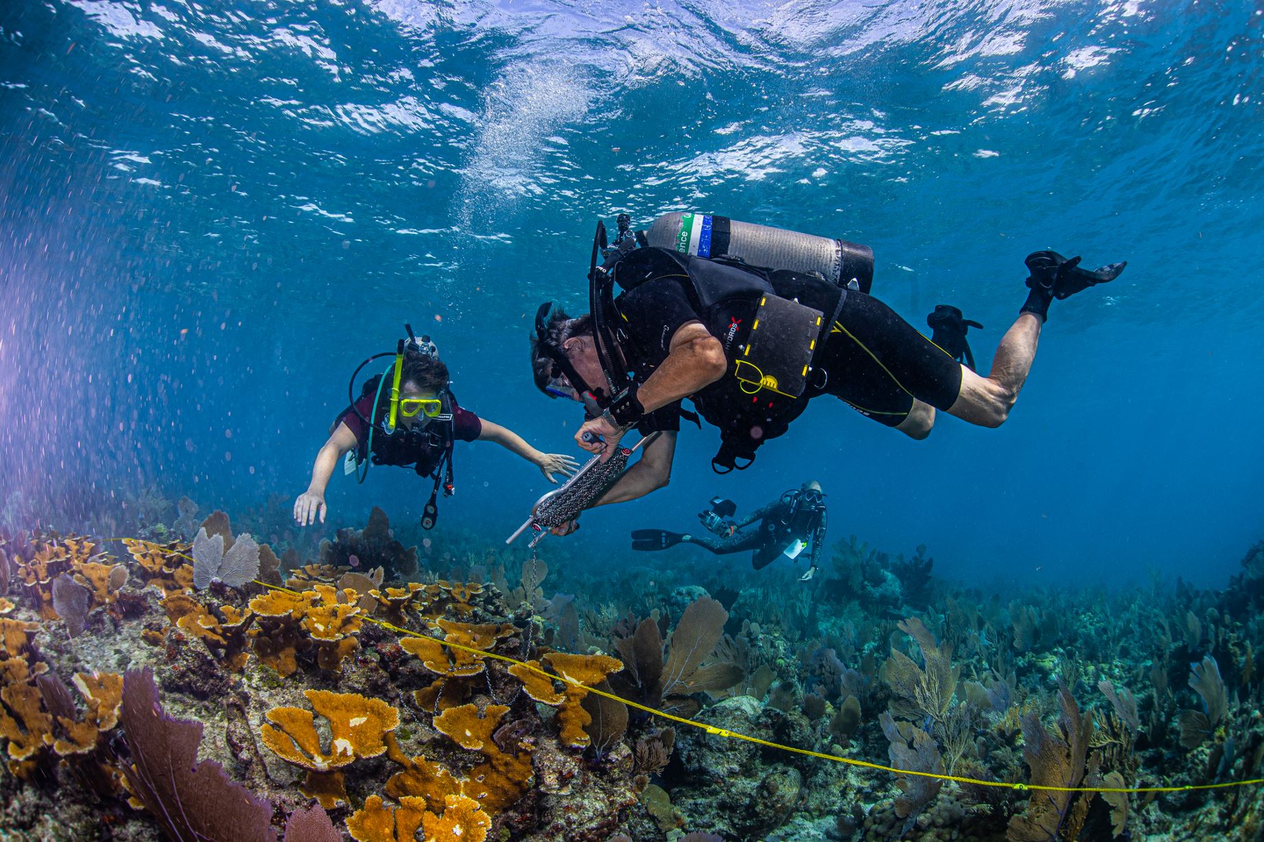 Key-Largo-Diving-Project-2 (1)